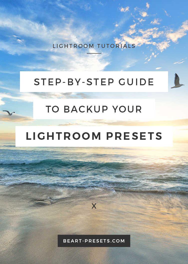 The Importance of Backing up your Lightroom Presets and a StepbyStep